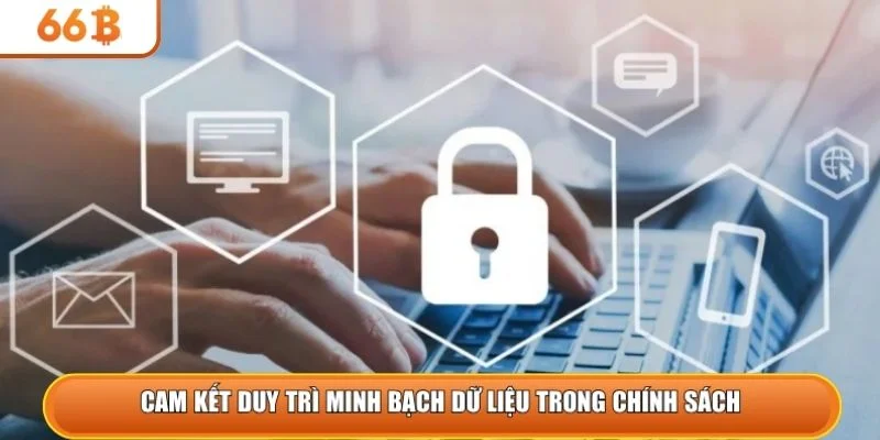 Cam kết duy trì minh bạch dữ liệu trong chính sách 